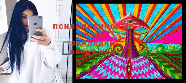 прущие грибы Алзамай