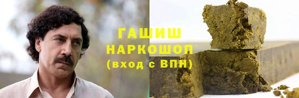 прущие грибы Алзамай