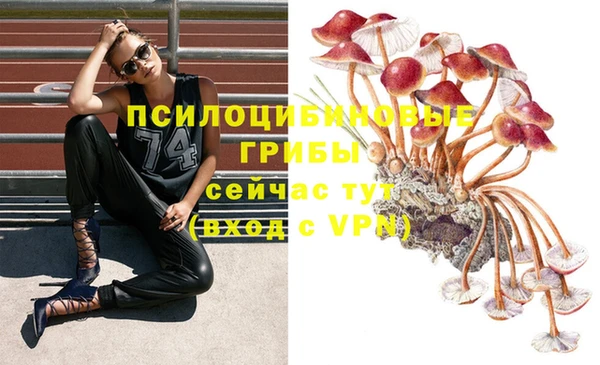 бутират Алексеевка
