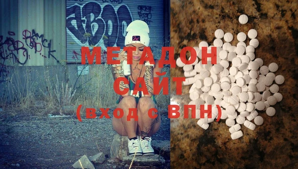 прущие грибы Алзамай